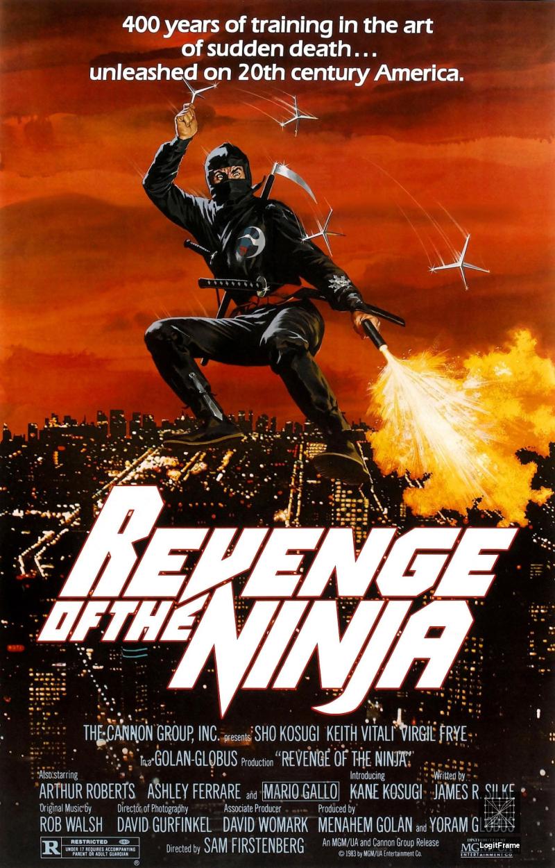 Revenge of the Ninja 