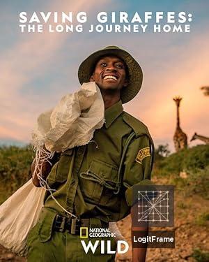Saving Giraffes: The Long Journey Home 