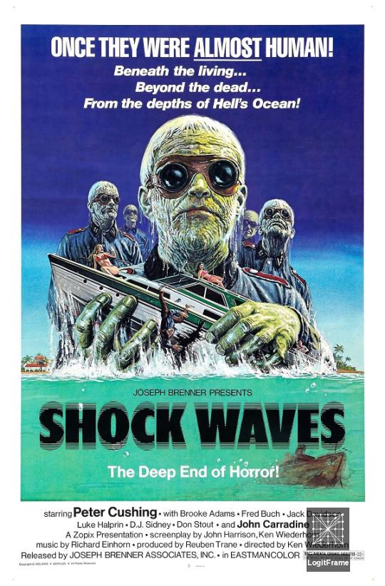 Shock Waves 