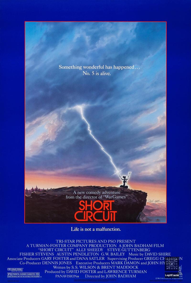 Short Circuit 