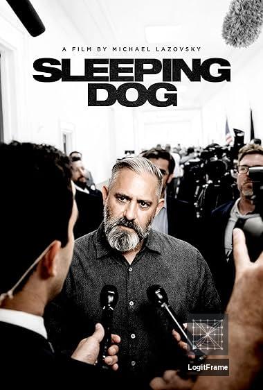 Sleeping Dog 