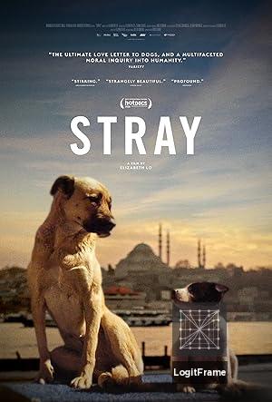 Stray 