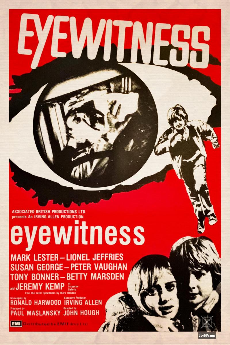 Eyewitness (Sudden Terror)