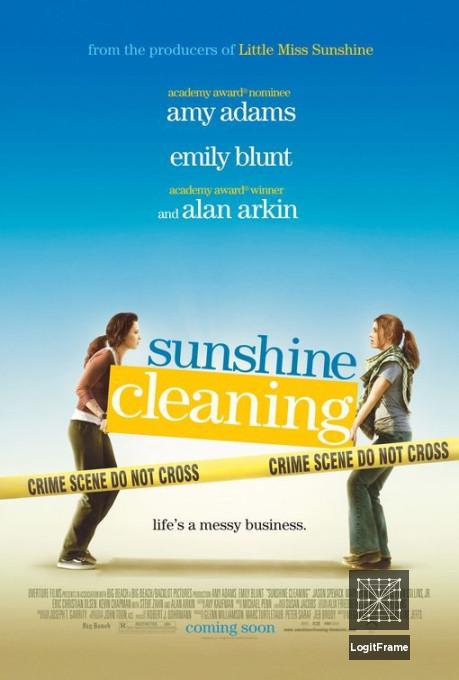 Sunshine Cleaning 