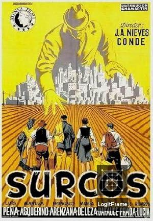 Surcos