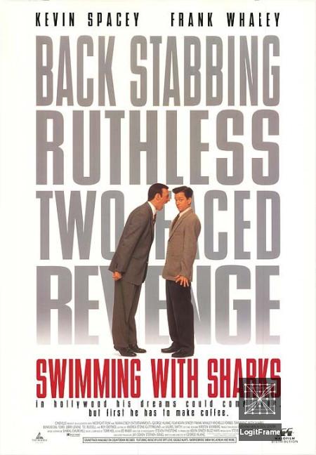 Swimming with Sharks 