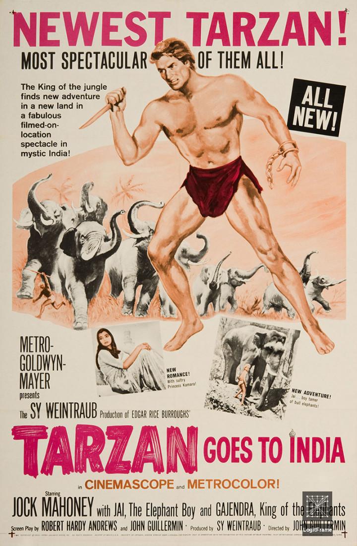 Tarzan Goes to India 