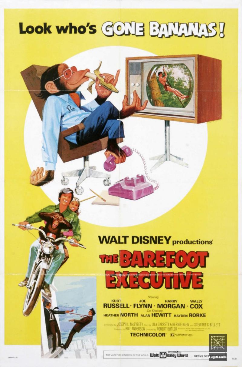 The Barefoot Executive 