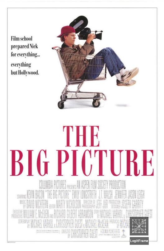 The Big Picture 