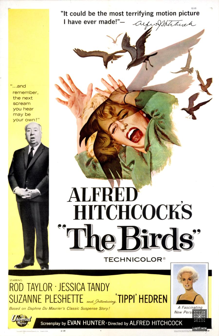 The Birds 