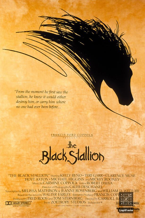 The Black Stallion 