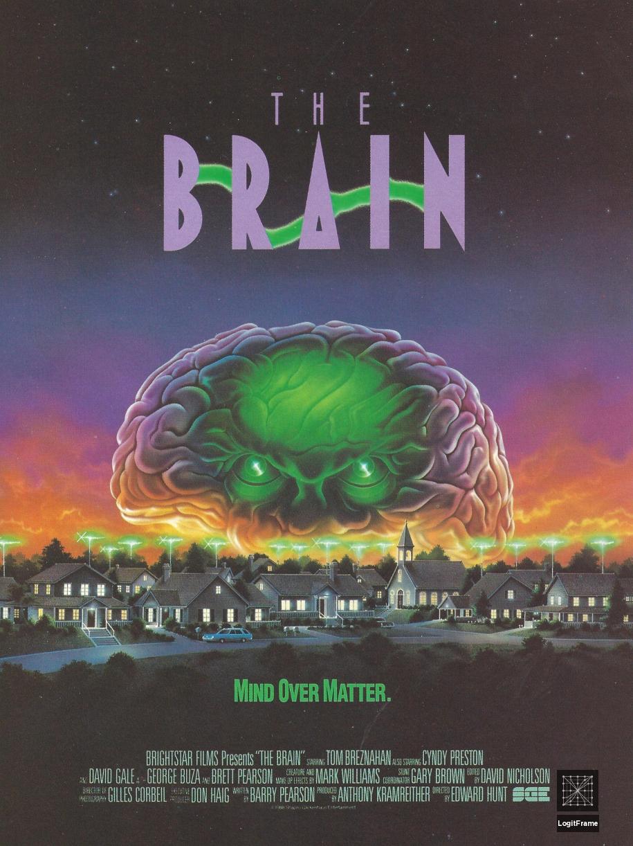 The Brain 