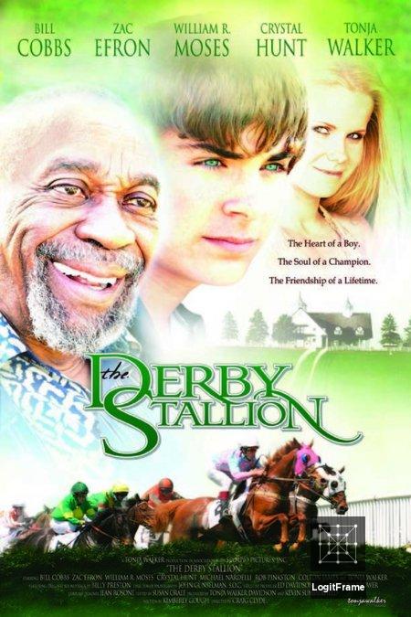 The Derby Stallion 