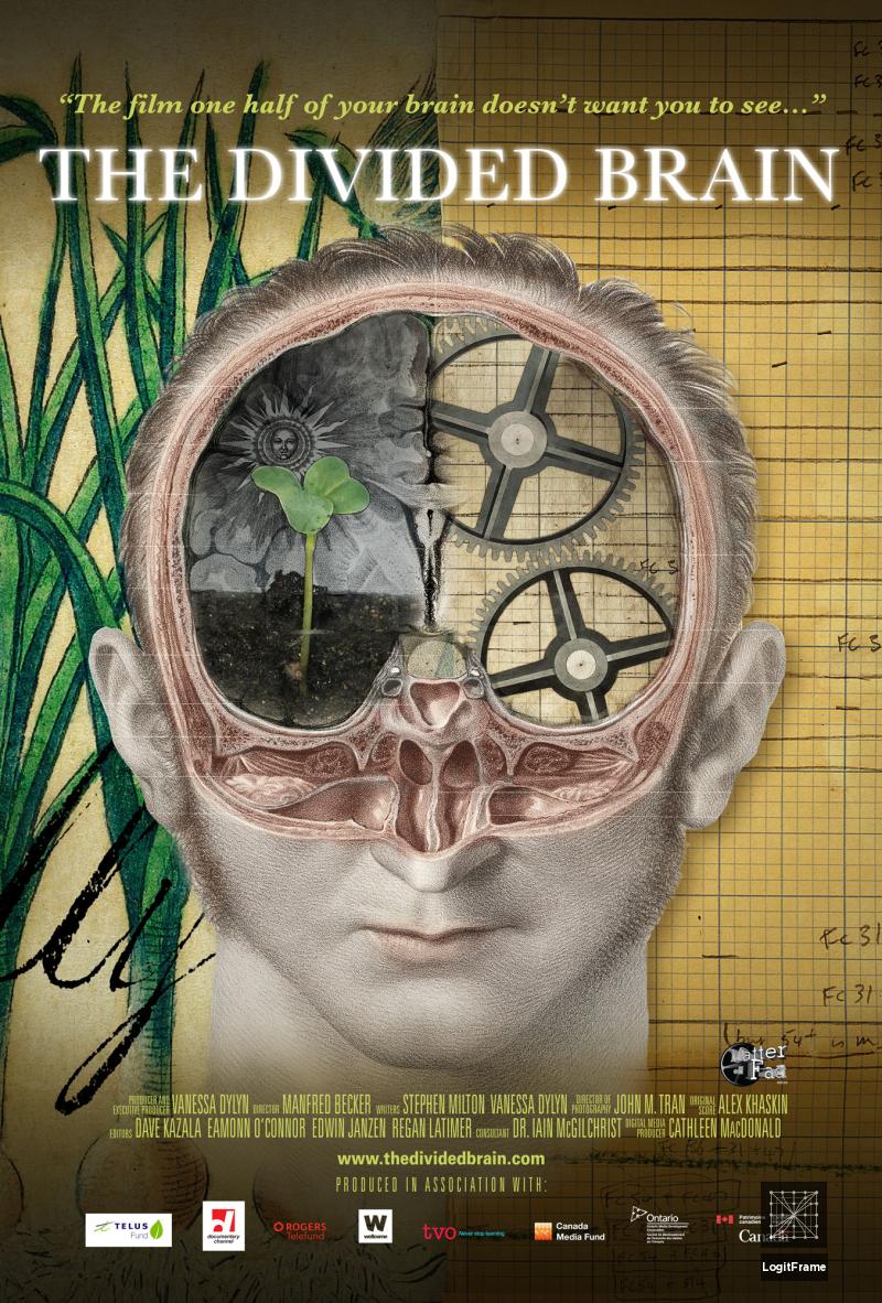 The Divided Brain 