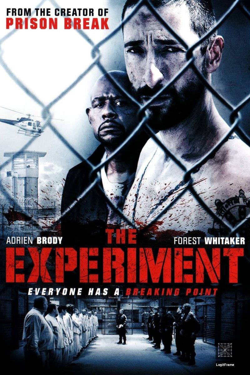 The Experiment 