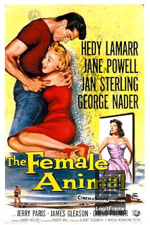 The Female Animal 