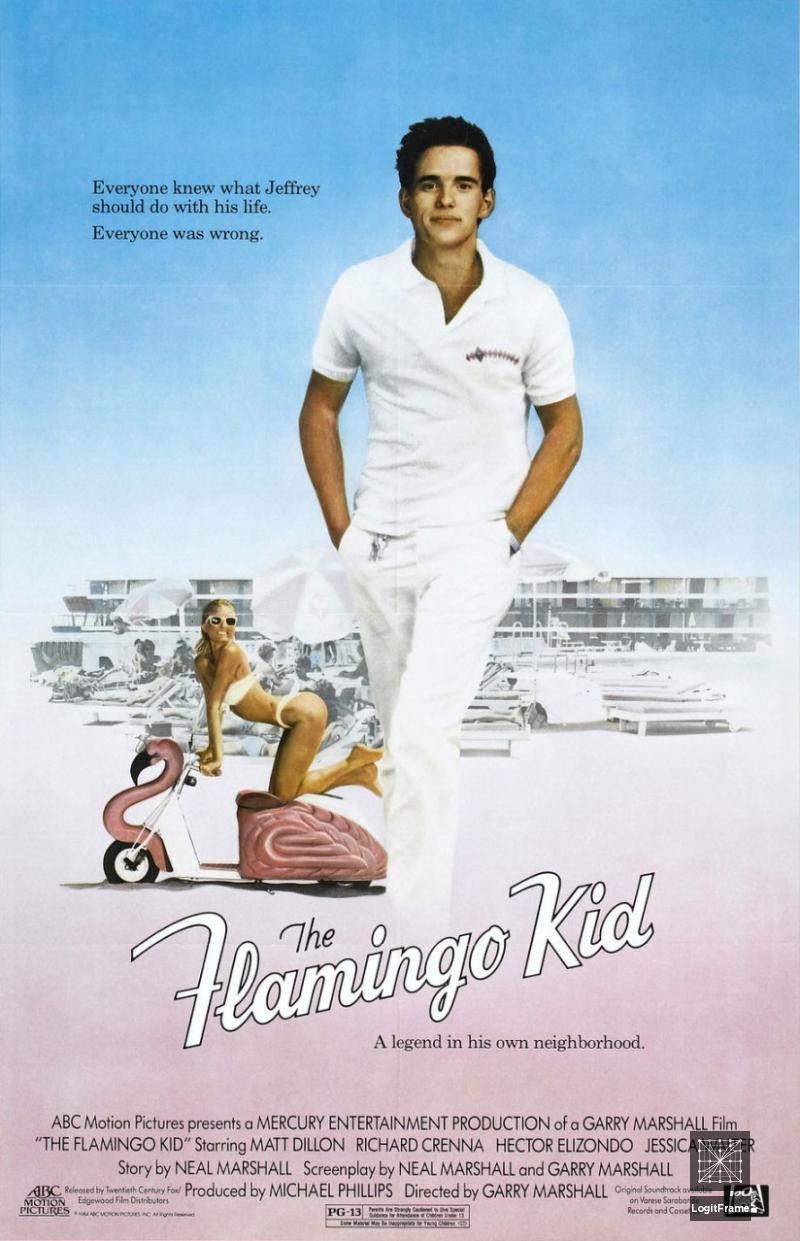 The Flamingo Kid 