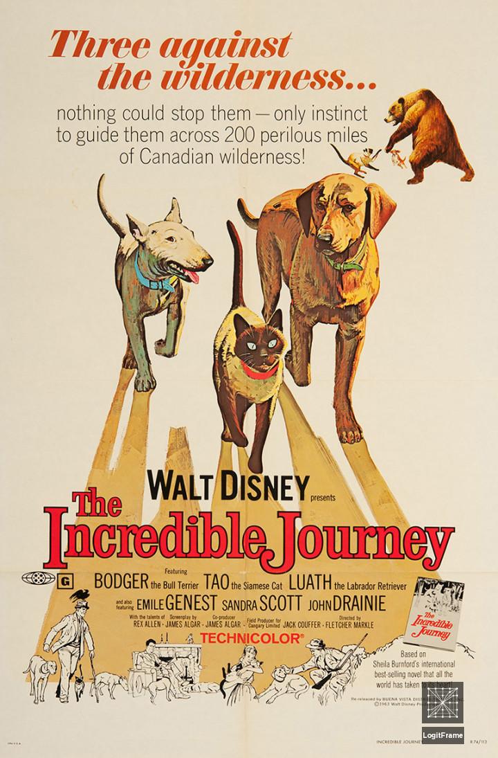 The Incredible Journey 