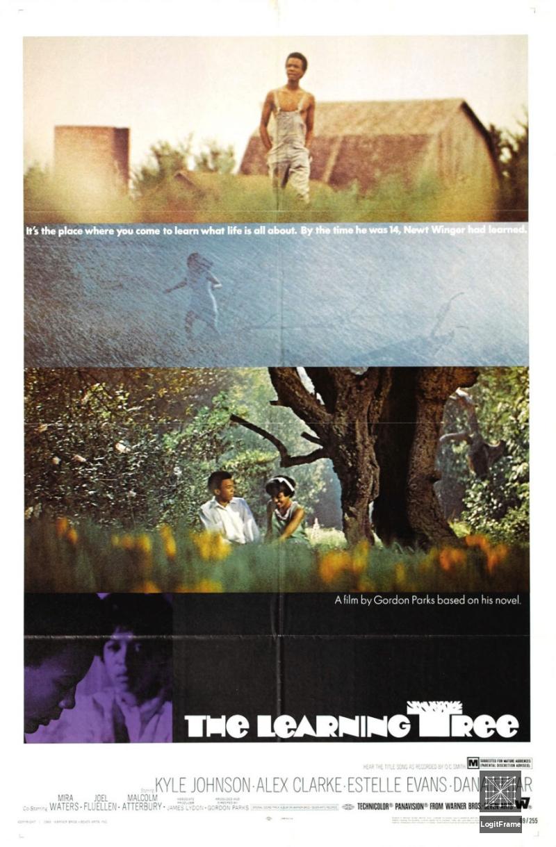 The Learning Tree 