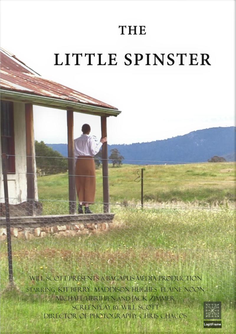 The Little Spinster 