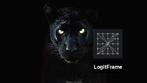 The Real Black Panther 