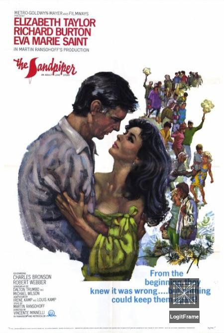 The Sandpiper 