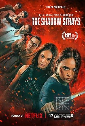 The Shadow Strays 