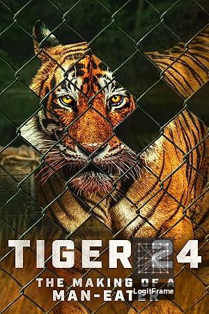 Tiger 24 