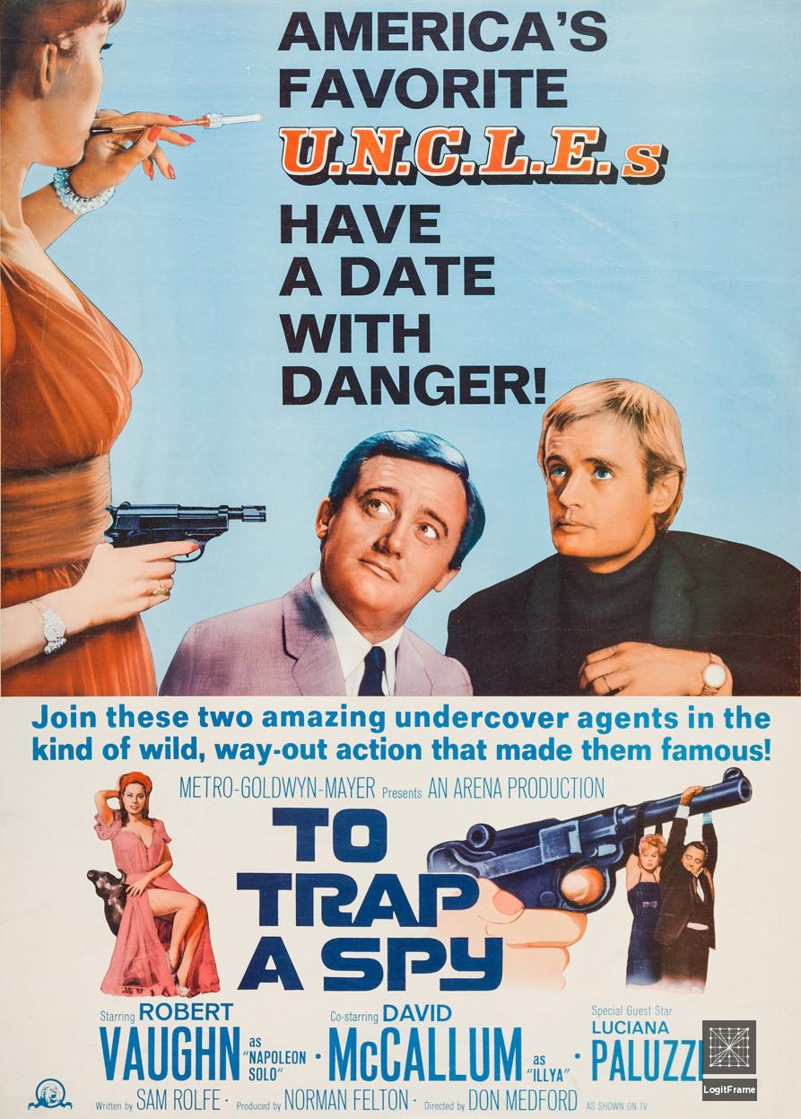 To Trap a Spy 