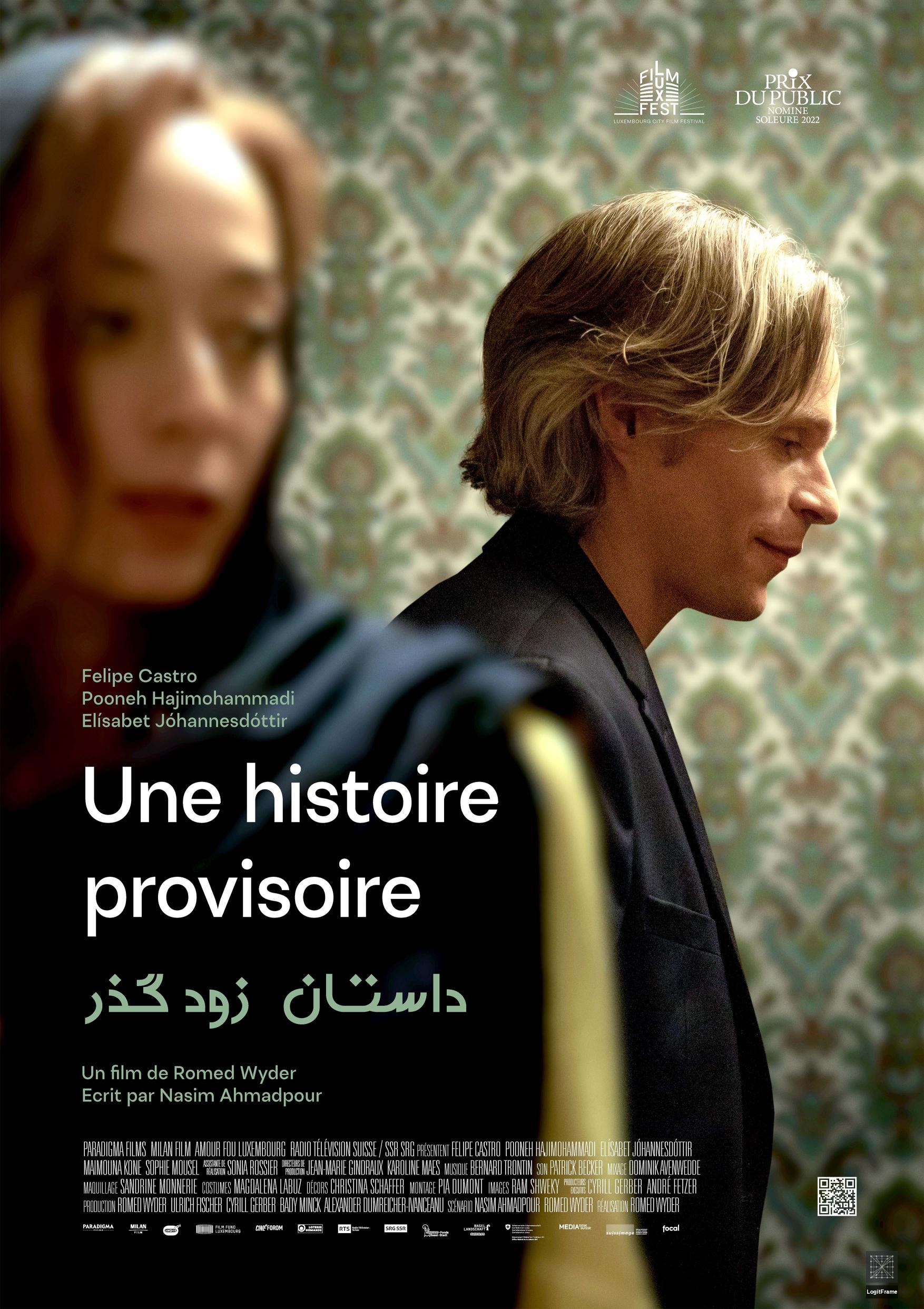 Une histoire provisoire 