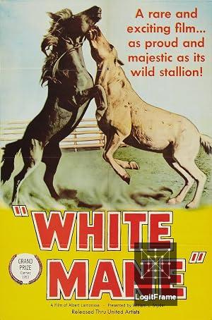 Crin Blanc : Le Cheval sauvage (White Mane)
