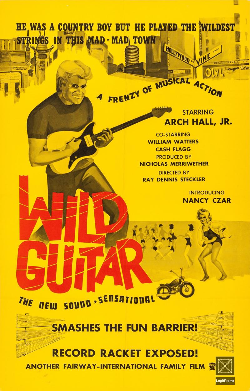 Wild Guitar 