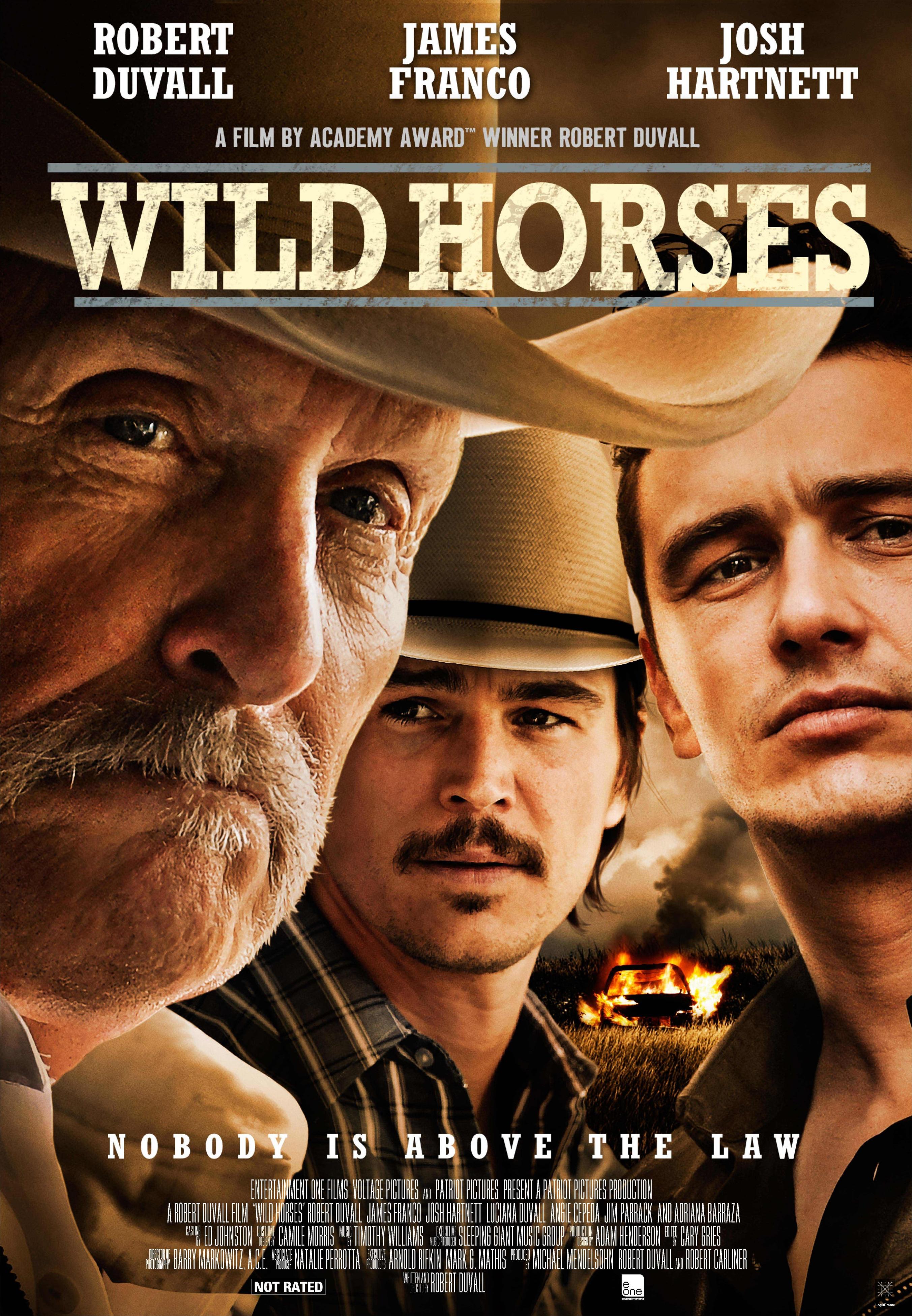 Wild Horses 