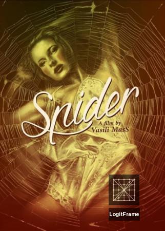 Zirneklis (Spider)